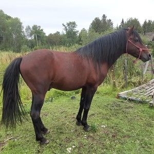 Meet your Posher, Ruth